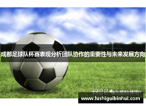 成都足球队杯赛表现分析团队协作的重要性与未来发展方向
