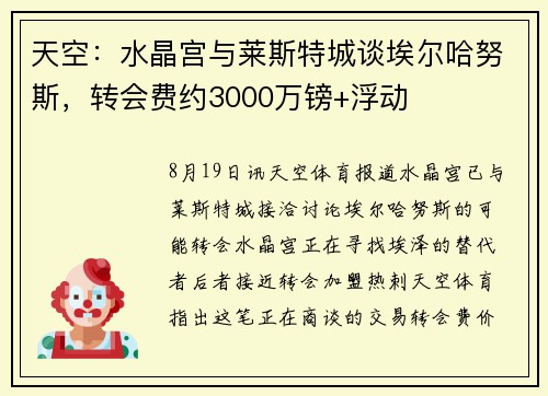 天空：水晶宫与莱斯特城谈埃尔哈努斯，转会费约3000万镑+浮动